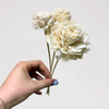 Floral Reeds